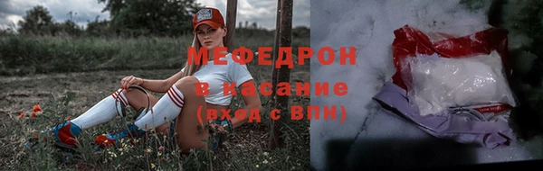 индика Верхний Тагил
