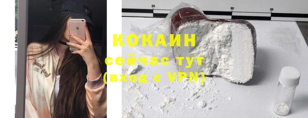индика Верхний Тагил