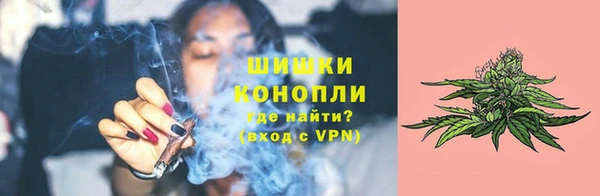 индика Верхний Тагил