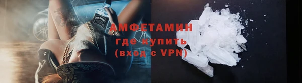 индика Верхний Тагил