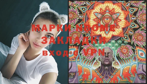 шишки Верея