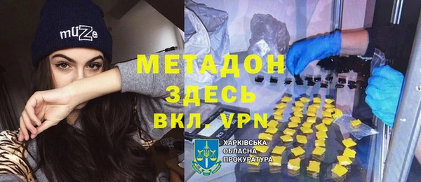 шишки Верея