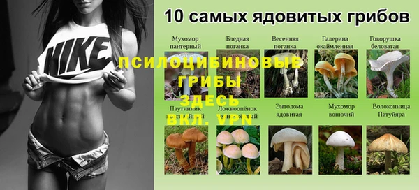 гашик Верхнеуральск