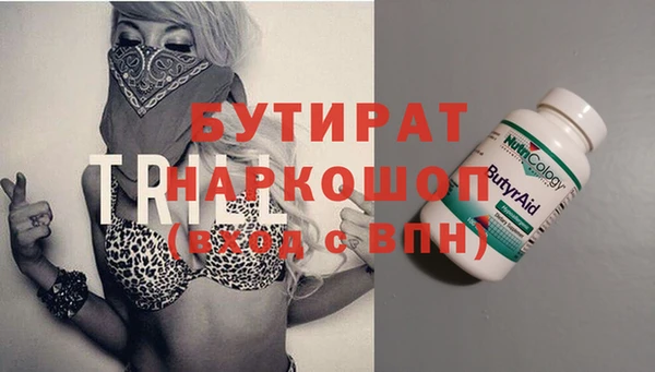 шишки Верея