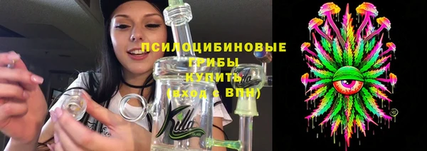 шишки Верея