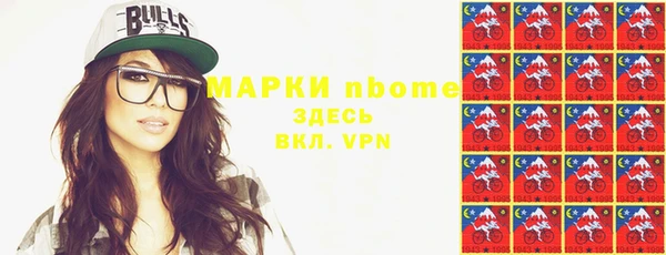 шишки Верея